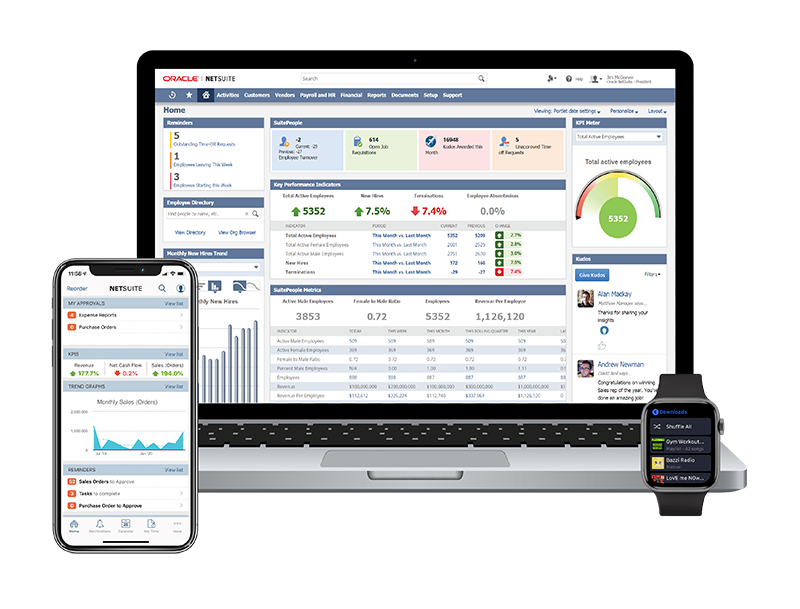 NetSuite ERP Integration and Consultation Services