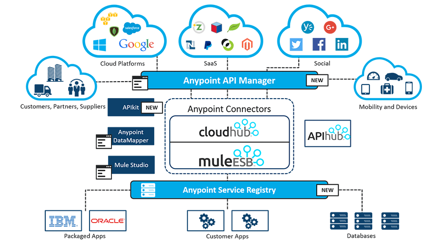 MuleSoft Data Integration Partner